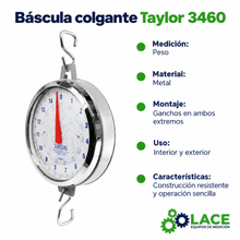 Báscula colgante Taylor 3460