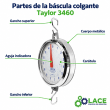 Báscula colgante Taylor 3460