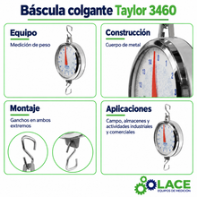 Báscula colgante Taylor 3460