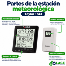 Estación meteorológica inalámbrica Taylor 1743 – 0 a 50 °C / -40 a 60 °C