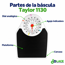 Báscula analógica mecánica Taylor 1130 – 150 kg / 330 lb
