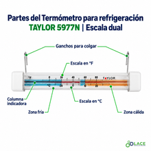 Termómetro para refrigerador y congelador Taylor 5977N – −30 a 30 °C / −30 a 90 °F