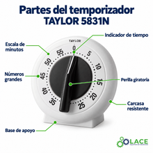 Temporizador de números grandes Taylor 5831N – Hasta 60 minutos