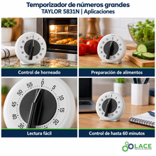 Temporizador de números grandes Taylor 5831N – Hasta 60 minutos