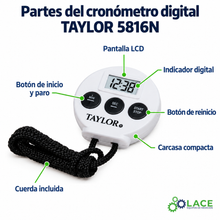 Cronómetro digital Taylor 5816N – Hasta 23 horas 59 minutos